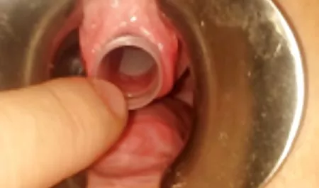Na terenie kampusu używać urządzenia w sex polski xxx jej cipki podglądanie Hun