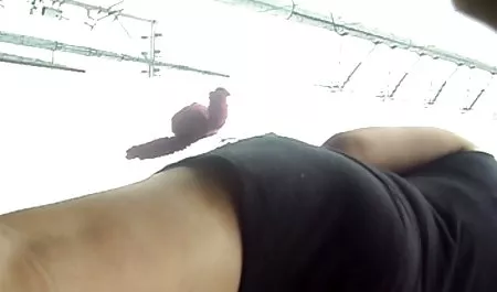 Tak mogę to polsky porn zrobić w kilka sekund, bez żadnych kłopotów niedziela